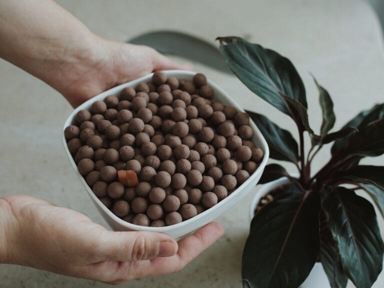 Hydroponik Blähtonkugeln