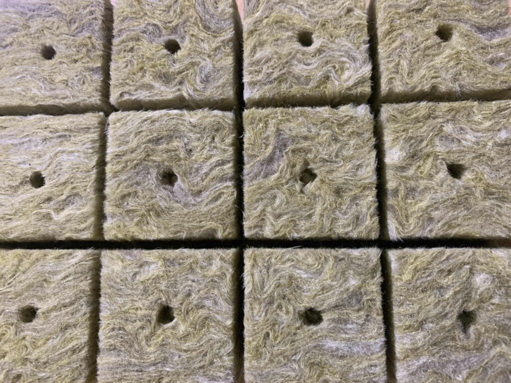 hydroponics rockwool cubes