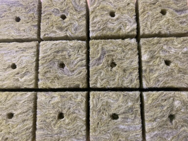 hydroponics rockwool cubes