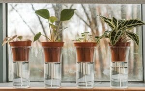 hydroponik docht system